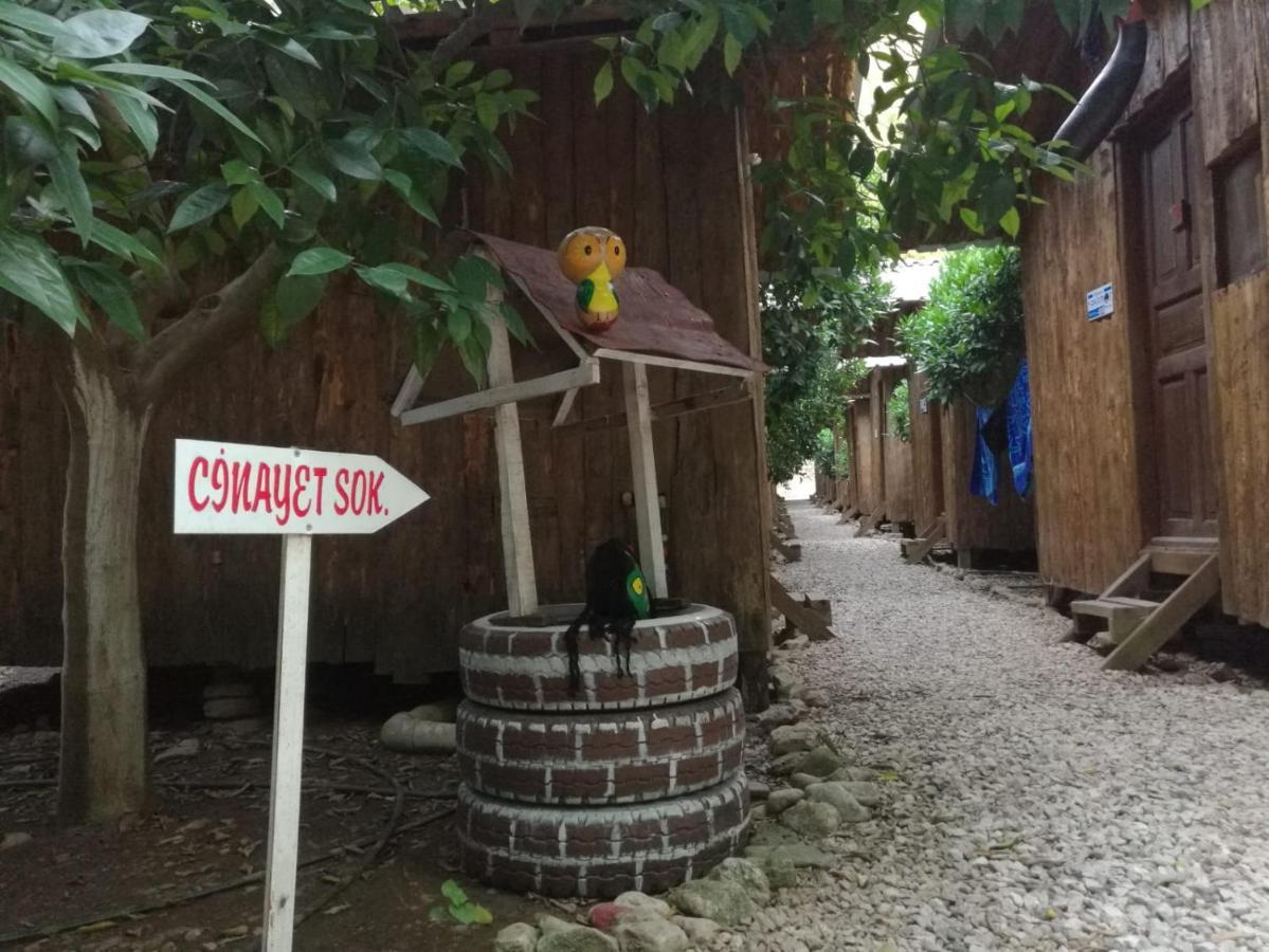 Olympos Yakamoz Pansiyon Exterior photo
